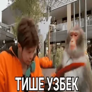 😡 ТИШЕ УЗБЕК monkey, offensive, slur, insult, uzbek telegram sticker