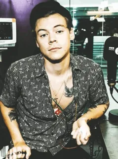 💴 Harry Styles Harry Styles, chanteur, célébrité, One Direction, pop star telegram sticker