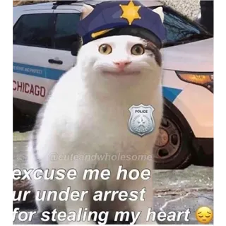 🥰 excuse me hoe ur under arrest for stealing my heart kot, policja, aresztowanie, mem, serce, śmieszne telegram sticker
