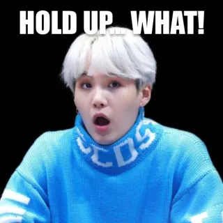 😮 HOLD UP...WHAT! 밈, 충격, 놀람, 반응, 혼란 telegram sticker