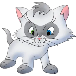 😠 kat, kitten, dier, cartoon whatsapp sticker