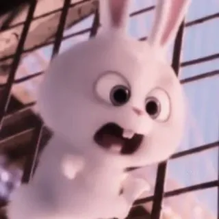 🐰 Snowball The Secret Life of Pets coelho, coelhinho, desenho animado, animal, animal de estimação, personagem whatsapp sticker