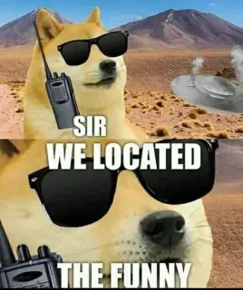 👍 SIR
WE LOCATED
THE FUNNY doge, mem, śmieszne, pies, walkie talkie, okulary przeciwsłoneczne telegram sticker