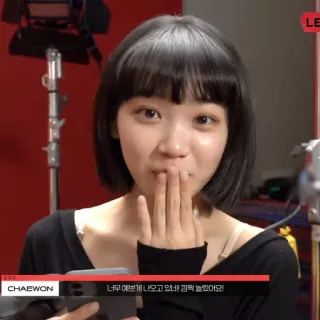 🐯 Chaewon 너무 예쁘게 나오고 있냐 감격 놀랐어요! korean, woman, cute, person, celebrity telegram sticker