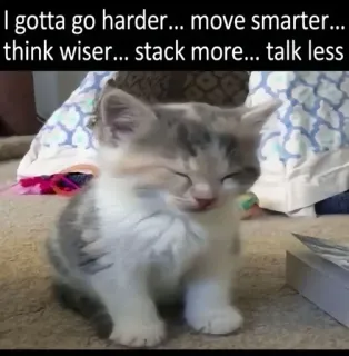 🌟 I gotta go harder... move smarter... think wiser... stack more... talk less whatsapp sticker