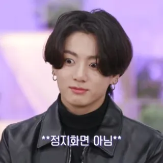 🥊 **정지화면 아님** telegram sticker