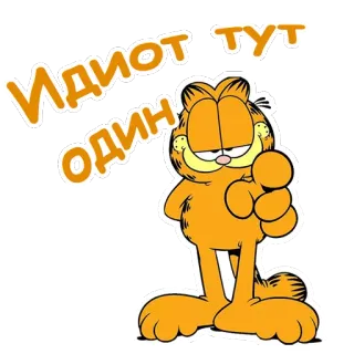 👈 Garfield ИДИОТ ОДИН ТУТ Garfield, hoạt hình, mèo, ngu ngốc, Nga telegram sticker