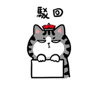 🌫 憨 回 mèo, động vật, nhãn dán, xám, văn bản telegram sticker