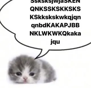 😈 SsksksjwjaSKEN
QNKSKSKSKKSKS
KSkkskskwkqjn
qnbdKAKAPJBB
NKLWKWKQkaka
jqu Katze, Kätzchen, lustig, Sprechblase, Unsinnstext telegram sticker
