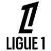 🇫🇷