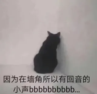😵 因为在墙角所以有回音的小声bbbbbbbbbbbb... Katze, Ecke, Echo, Wand, schwarze Katze, Tier, Haustier telegram sticker