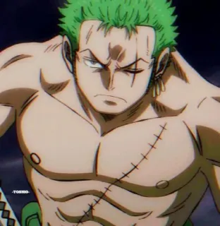 🌽 Zoro One Piece anime, one piece, zoro, swordsman, scarred, fighter telegram sticker