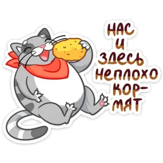 🍪 НАС И ЗДЕСЬ НЕПЛОХО КОРМЯТ 猫, 吃, 开心, 俄语, 食物, 卡通, 贴纸 telegram sticker