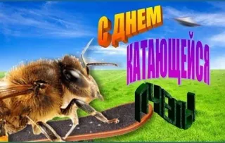 🐝 С днем катающейся хрени bee, skateboard, funny, alien telegram sticker