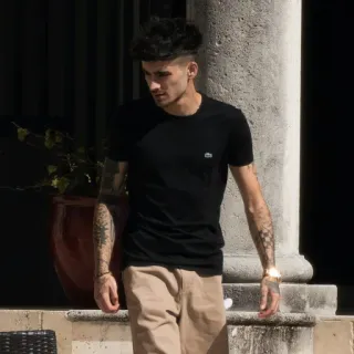 🔦 Zayn Malik beroemdheid, zanger, model, mode, portret telegram sticker