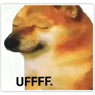 🥲 UFFFF Doge, Chó, Meme, Động vật, Meme trên mạng telegram sticker