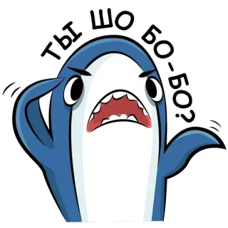 😗 Ты шо бо-бо? requin, en colère, russe, autocollant, dessin animé, drôle telegram sticker