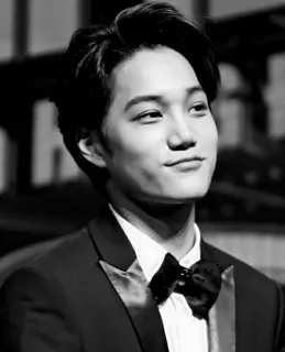 🌑 Kai kpop, 歌手, exo, 偶像, 肖像, 名人 telegram sticker