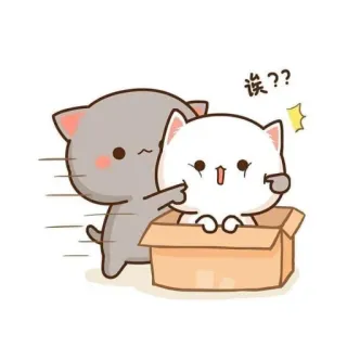 🐱 诶?? chat, mignon, dessin animé, boîte, animal telegram sticker