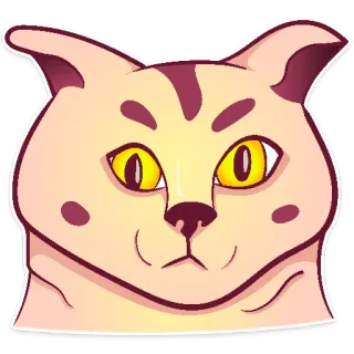 😲 chat, animal, sticker, animal de compagnie, mignon, dessin animé, félin whatsapp sticker