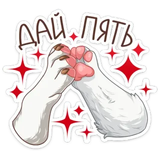Питомцы :: @stickroom telegram stickers