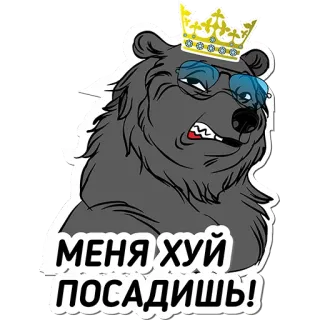 ⛓ МЕНЯ ХУЙ ПОСАДИШЬ! oso, corona, gafas de sol, ruso, ofensivo, palabrota whatsapp sticker