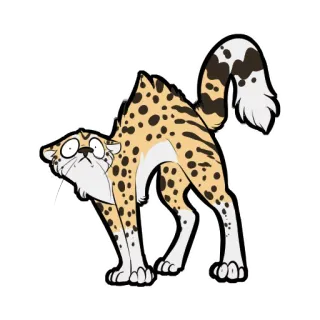 😱 desenho animado, gato, animal, engraçado, assustado telegram sticker