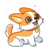 🥺 cane, corgi, cucciolo, animale, animale domestico, carino telegram sticker