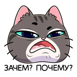 😫 ЗАЧЕМ? ПОЧЕМУ? kucing, pertanyaan, rusia, kenapa, kartun, stiker whatsapp sticker