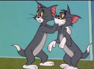 🤫 Tom Tom and Jerry Cartone animato, Gatto, Slapstick, Commedia whatsapp sticker
