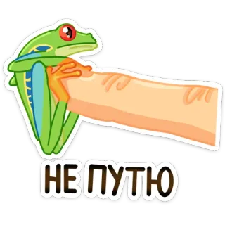 🐸 НЕ ПУТЮ żaba, ręka, śmieszne, naklejka, nie zgadzam się telegram sticker