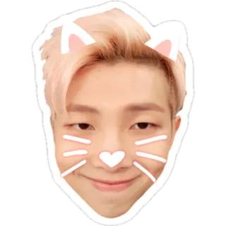☺️ RM RM, Kpop, Bangtan, BTS, orecchie da gatto, carino telegram sticker