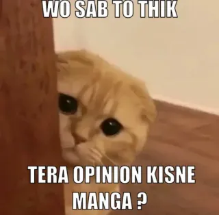 👀 WO SAB TO THIK
TERA OPINION KISNE MANGA ? gato, opinión, meme, divertido, hindi, animal, mirando telegram sticker