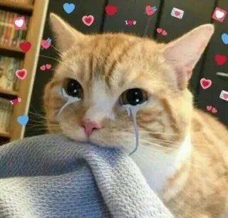 🤔 I love you 猫, 愛, 悲しい, 泣く, ハート, 可愛い telegram sticker