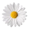 ☆ @emoji1 ★ telegram emojis 🌸
