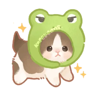 ✨ kapebeans kucing, katak, hewan, imut, kawaii, peliharaan whatsapp sticker