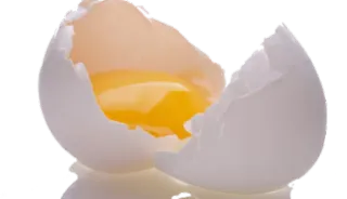 🍳 卵, 食べ物, 朝食, 黄身, 殻, 料理 telegram sticker