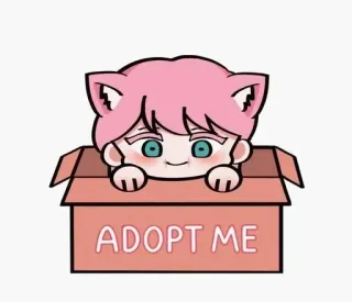 💊 ADOPT ME แมว, ลูกแมว, รับเลี้ยง, สัตว์, น่ารัก, สีชมพู, กล่อง, การ์ตูน telegram sticker