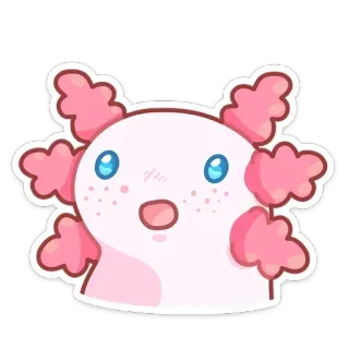 😳 axolotl, mignon, animal, autocollant, dessin animé whatsapp sticker
