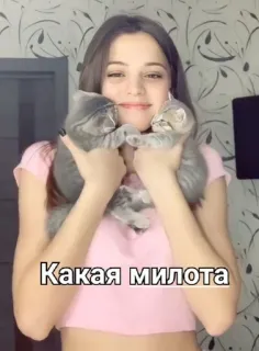🌟 Какая милота woman, cats, cuteness, love, pets, affection, animals telegram sticker