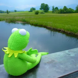 ☹️ Kermit kermit the frog, puppet, muppet, green, lake, nature, relaxing telegram sticker
