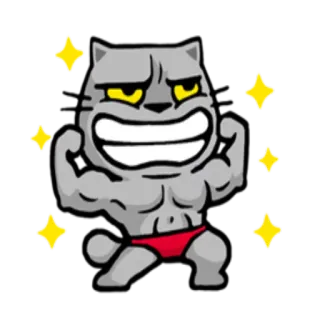 🏋 cat, muscle, cartoon, fitness, animal, strength, flexing telegram sticker