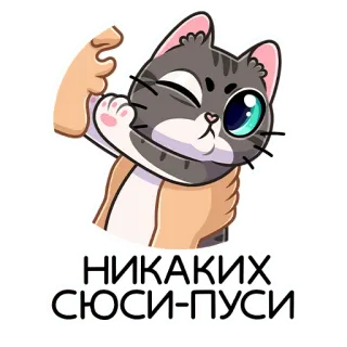 🙅‍♂️ НИКАКИХ СЮСИ-ПУСИ kucing, lucu, stiker, lucu, rusia, meme whatsapp sticker