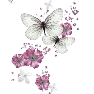 🦋 vlinder, bloemen, wit, paars, natuur telegram sticker