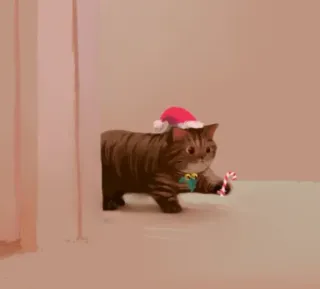 🌟 gato, navidad, gorro de santa, bastón de caramelo, animal, lindo, fiestas telegram sticker