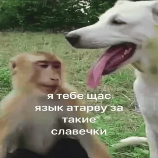 Больше стиков тут: @stikery4 telegram stickers