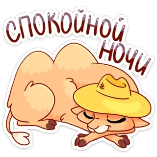 😴 СПОКОЙНОЙ НОЧИ camelo, noite, sono, fofo, animal, chapéu, desenho animado telegram sticker