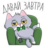 🥱 cat telegram sticker