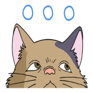 😏 cat, animal, meme, funny, eyes telegram sticker