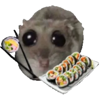🍱 햄스터, 스시, 음식, 귀여운, 동물, 설치류 whatsapp sticker